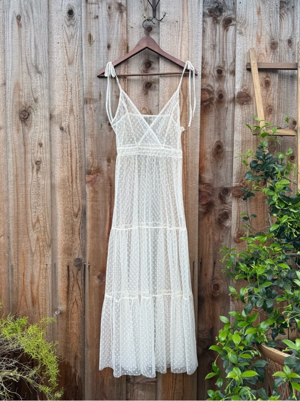 Ivory Cream Swiss Dot Sheer Maxi Slip Dress 🌿 - Picture 6 of 11